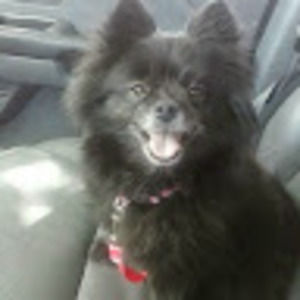 Meet your Posher, Darryl